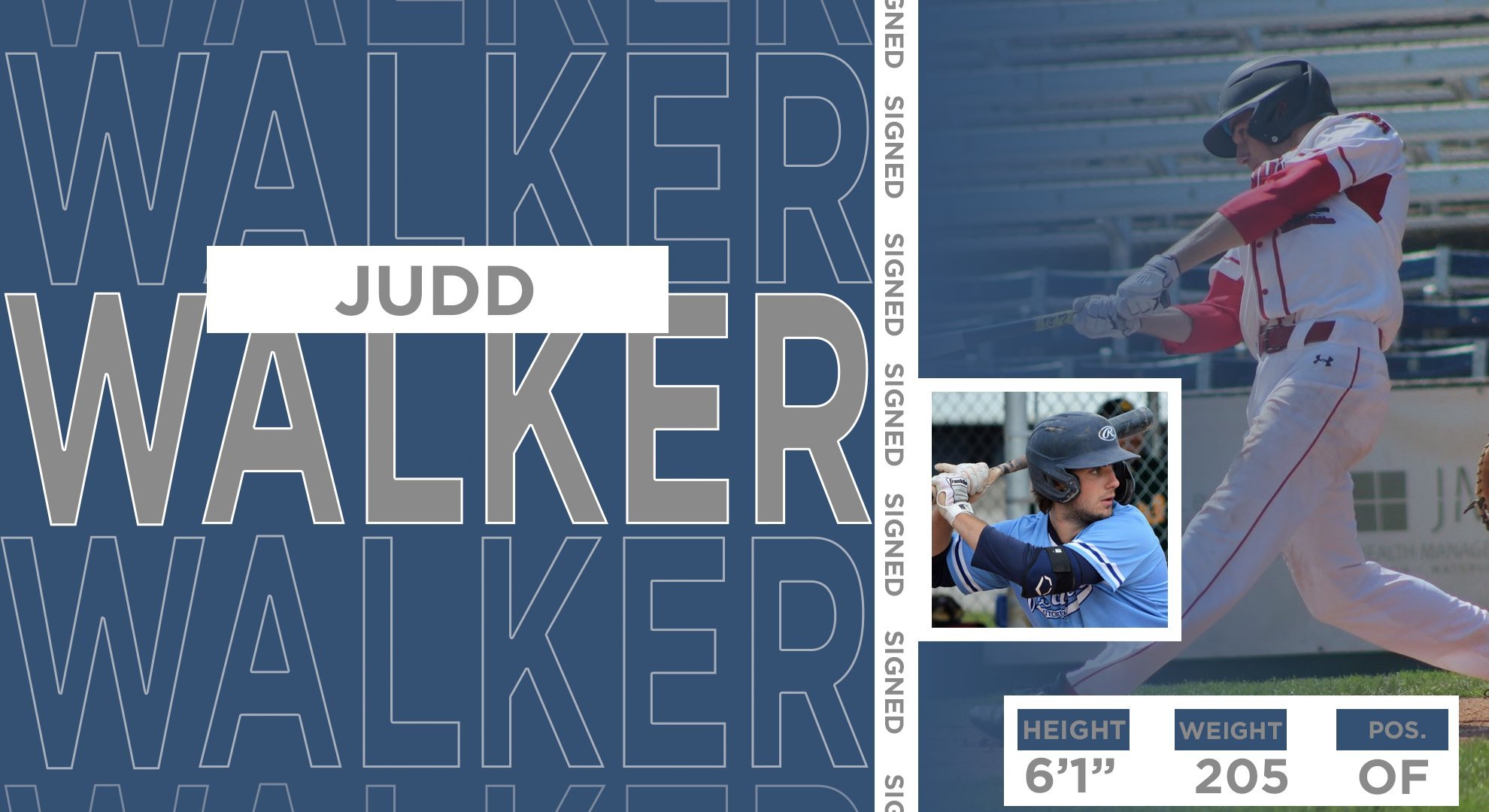 IBL's London Majors sign Walker