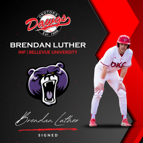 Brunner, Dumitru, Luther lead Dawgs to 12-2 win over Bulls
