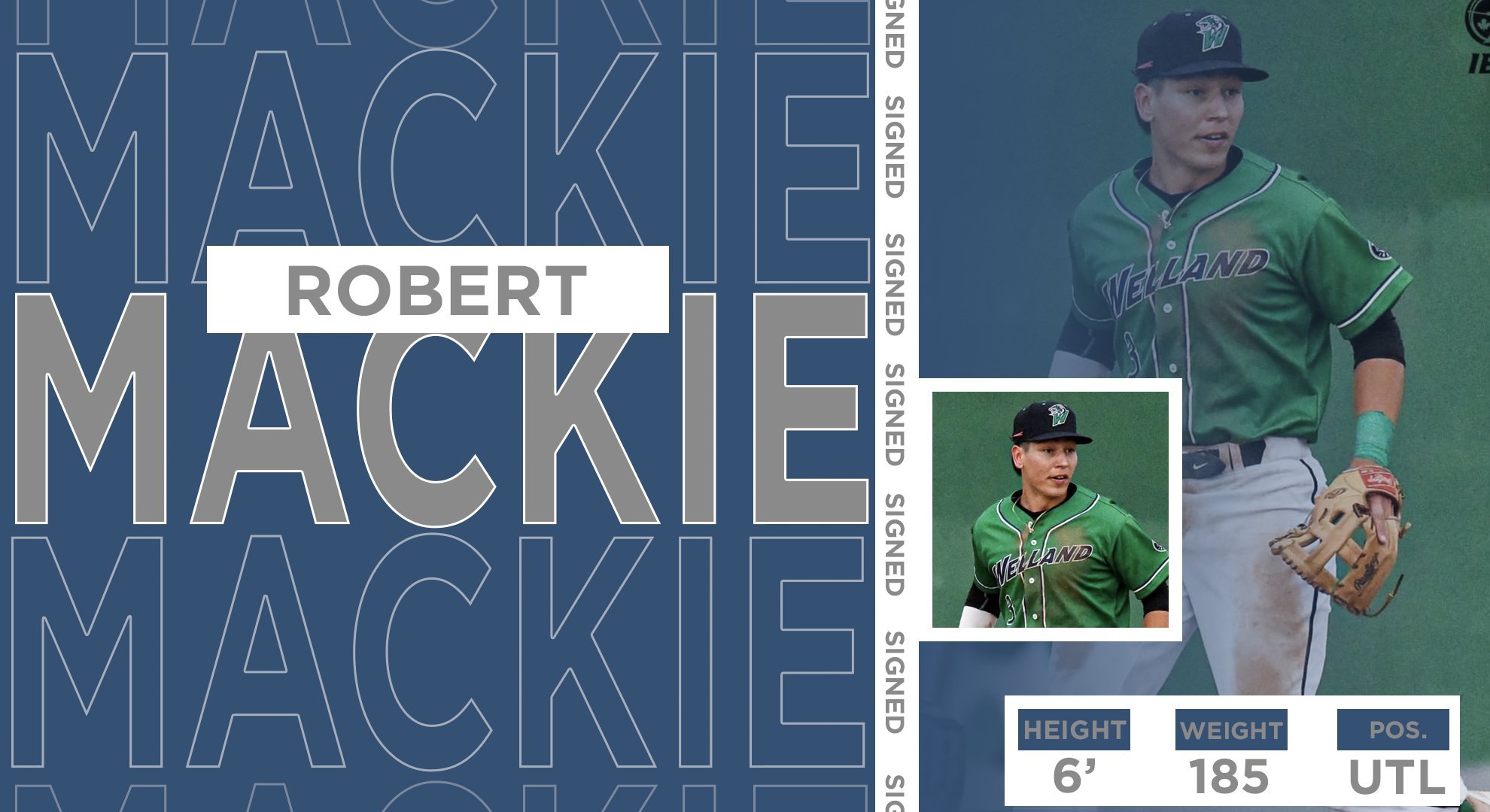 IBL's London Majors sign Mackie