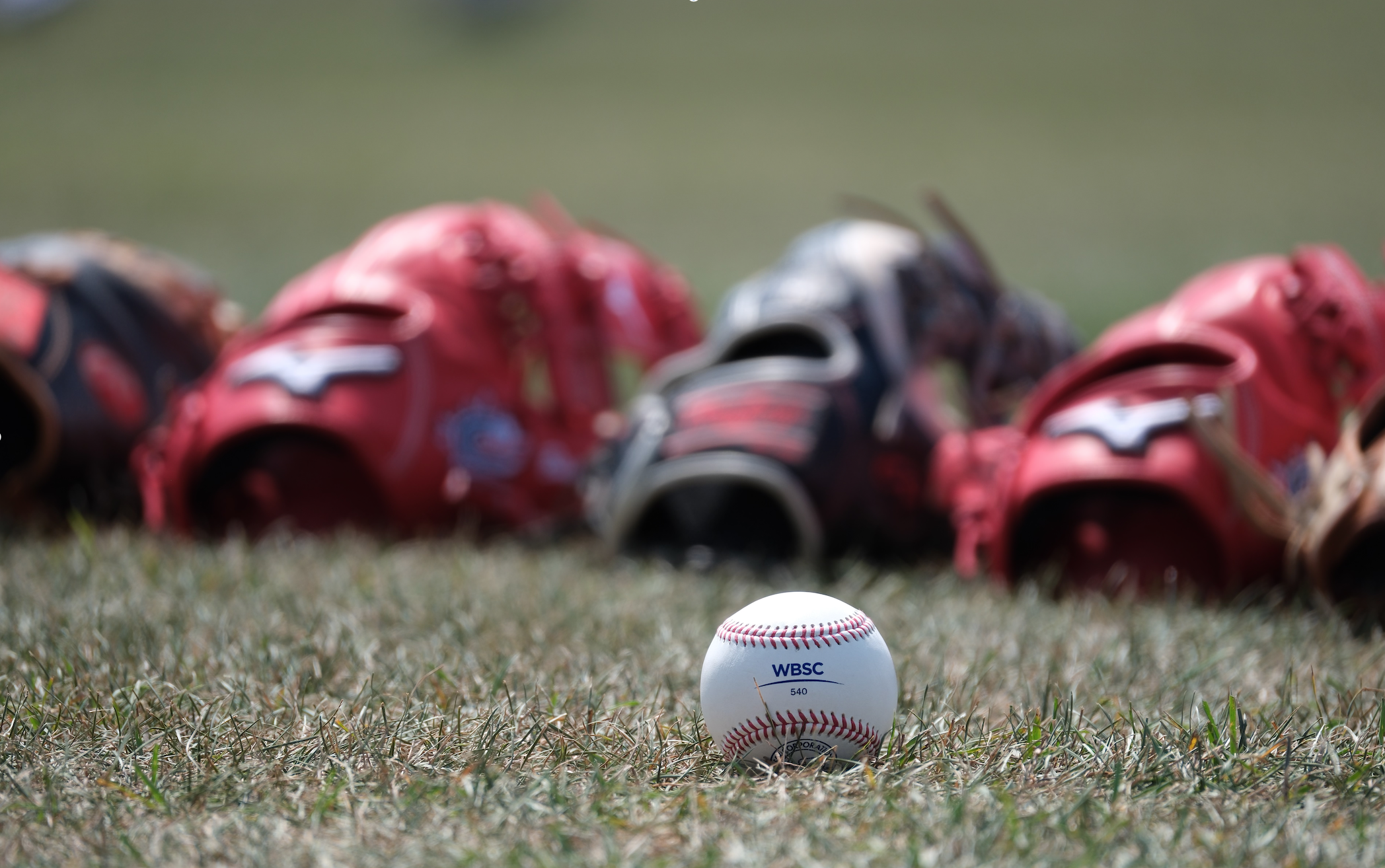 Dates announced for WBSC Women’s Baseball World Cup Finals in 2024