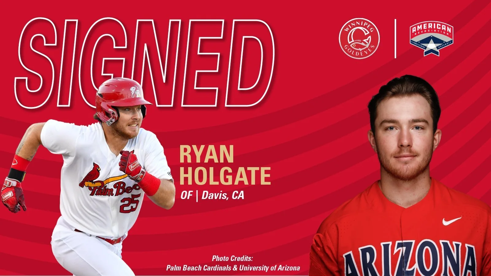 Goldeyes sign Holgate, former St. Louis Cardinals' prospect
