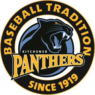 Thursday night Kitchener Panthers games to be broadcast on radio