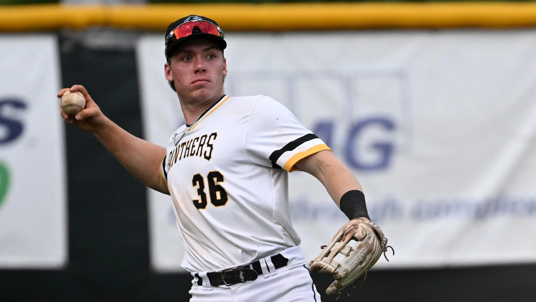 IBL's Kitchener Panthers re-sign Jacklin
