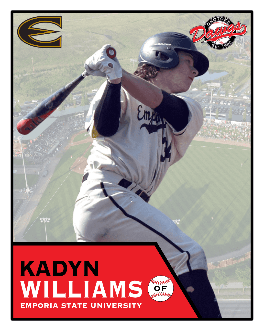 Dawgs sign Williams and Warstler