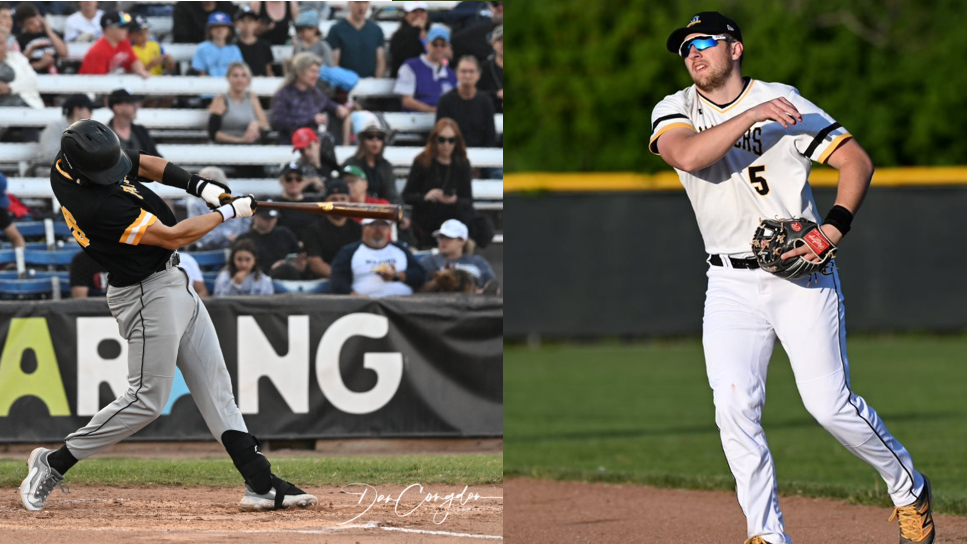 IBL's Kitchener Panthers re-sign pair of local infielders