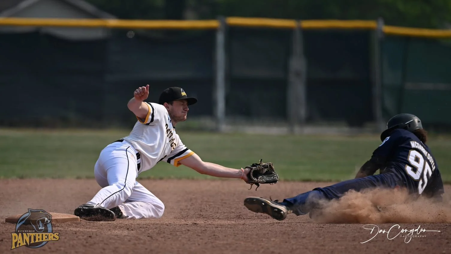 Multi-tooled Carthy re-signs with IBL's Kitchener Panthers