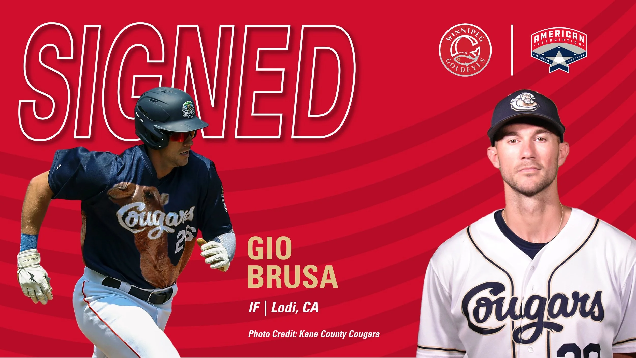 Goldeyes acquire Brusa