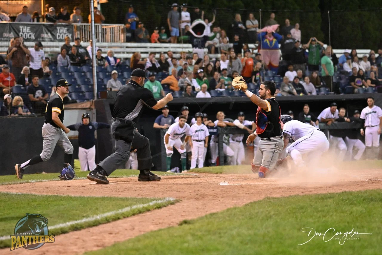 IBL's Hamilton Cardinals re-sign Ibarra