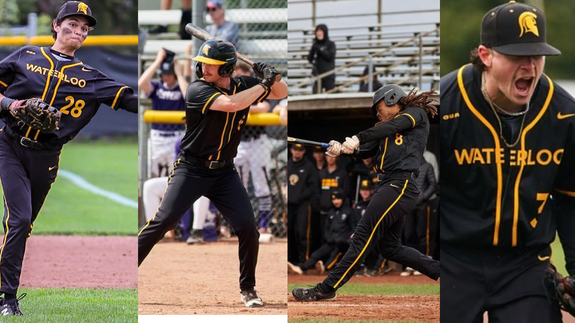 IBL's Kitchener Panthers sign quartet of Waterloo Warriors