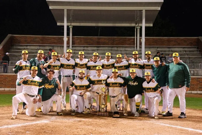 Newmarket Hawks golden at Gold Bat tourney