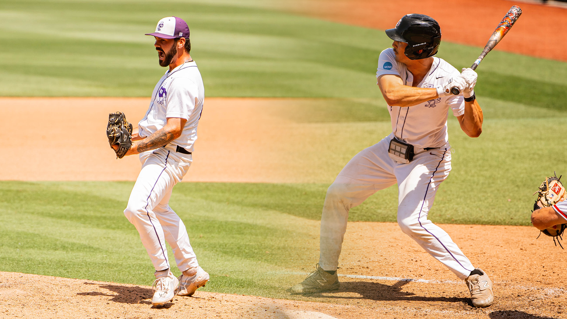 Niagara closer Cameron earns ABCA All-Region Honours