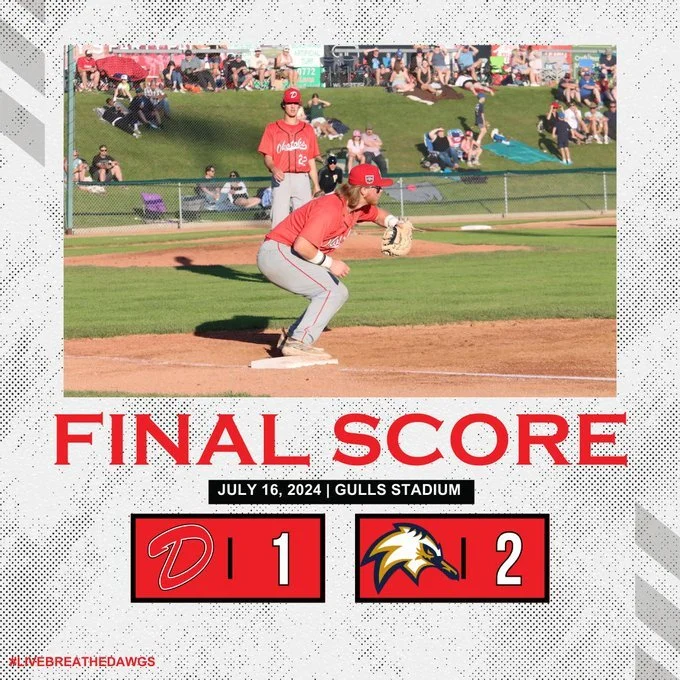 Dawgs lose to Gulls