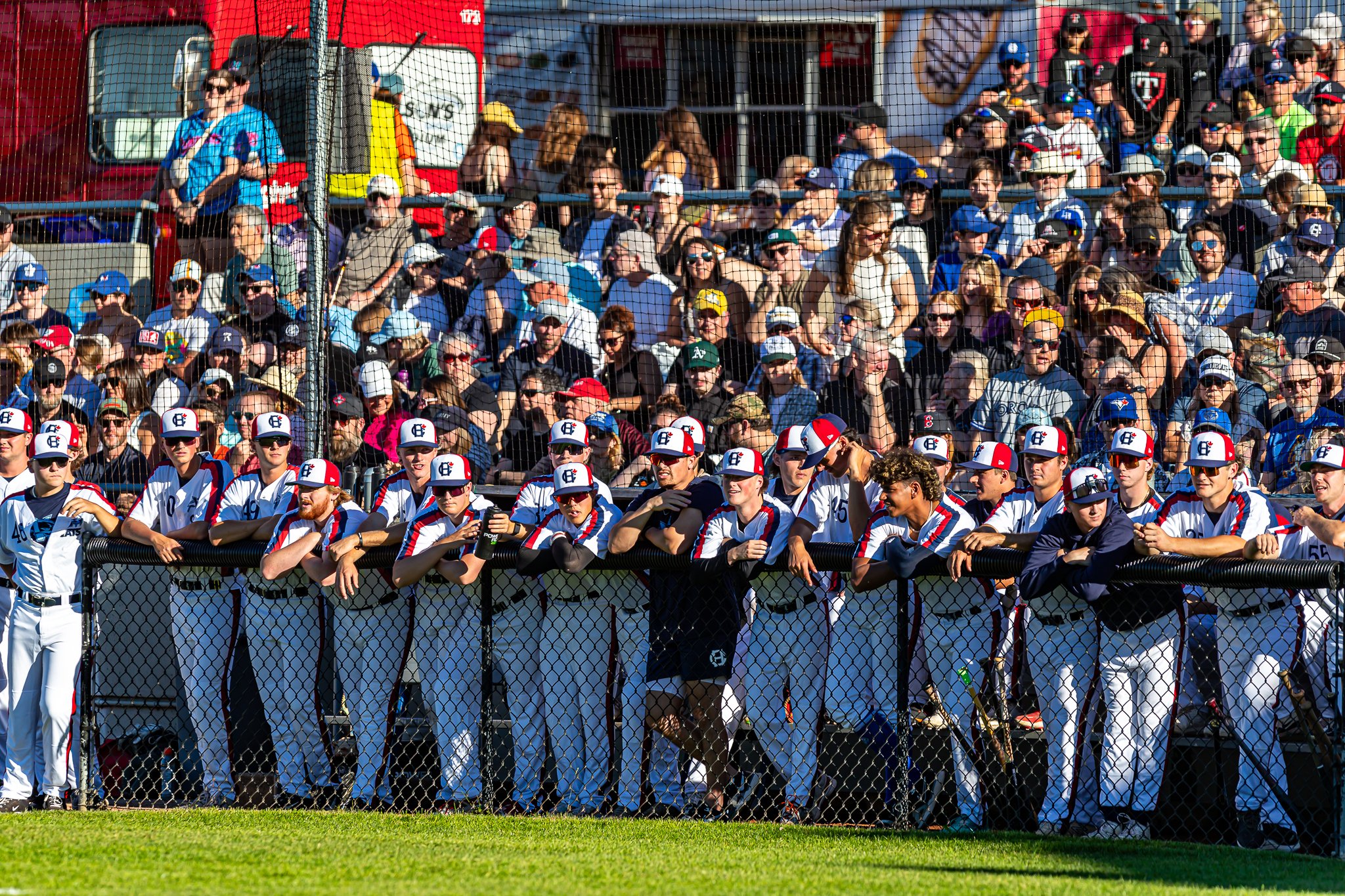 Victoria HarbourCats' season had plenty of highlights