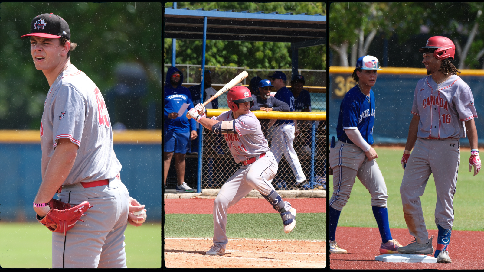 Juniors sweep doubleheader against Blue Jays' Dominican squad
