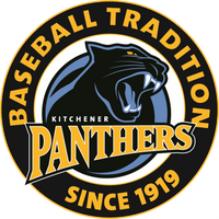 Gallagher: IBL Panthers sold to new group for “well into six figures’’