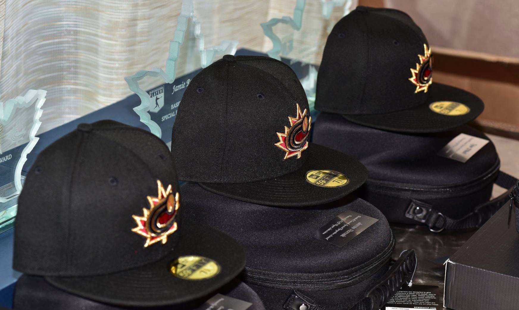 2025 Baseball Canada auction list unveiled