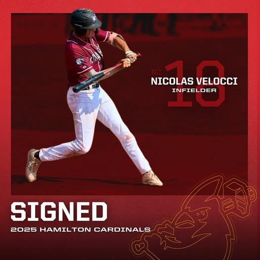 IBL's Hamilton Cardinals sign Velocci