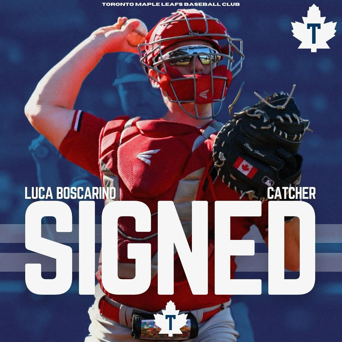 IBL's Toronto Maple Leafs sign Boscarino