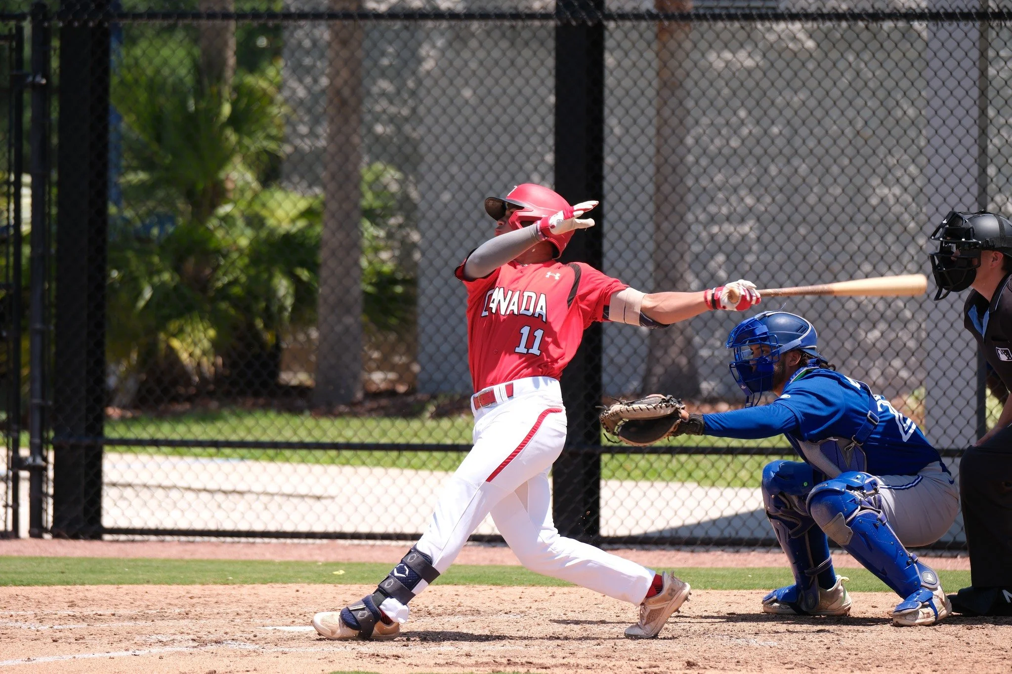 Shushkewich: Brinham, Cheong, Kitura, Kokotailo, Lascelles standouts at JNT Extended Spring Training  