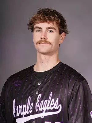 Wilde hits for cycle, Green, McKay, Kozar homer to lead Niagara to win