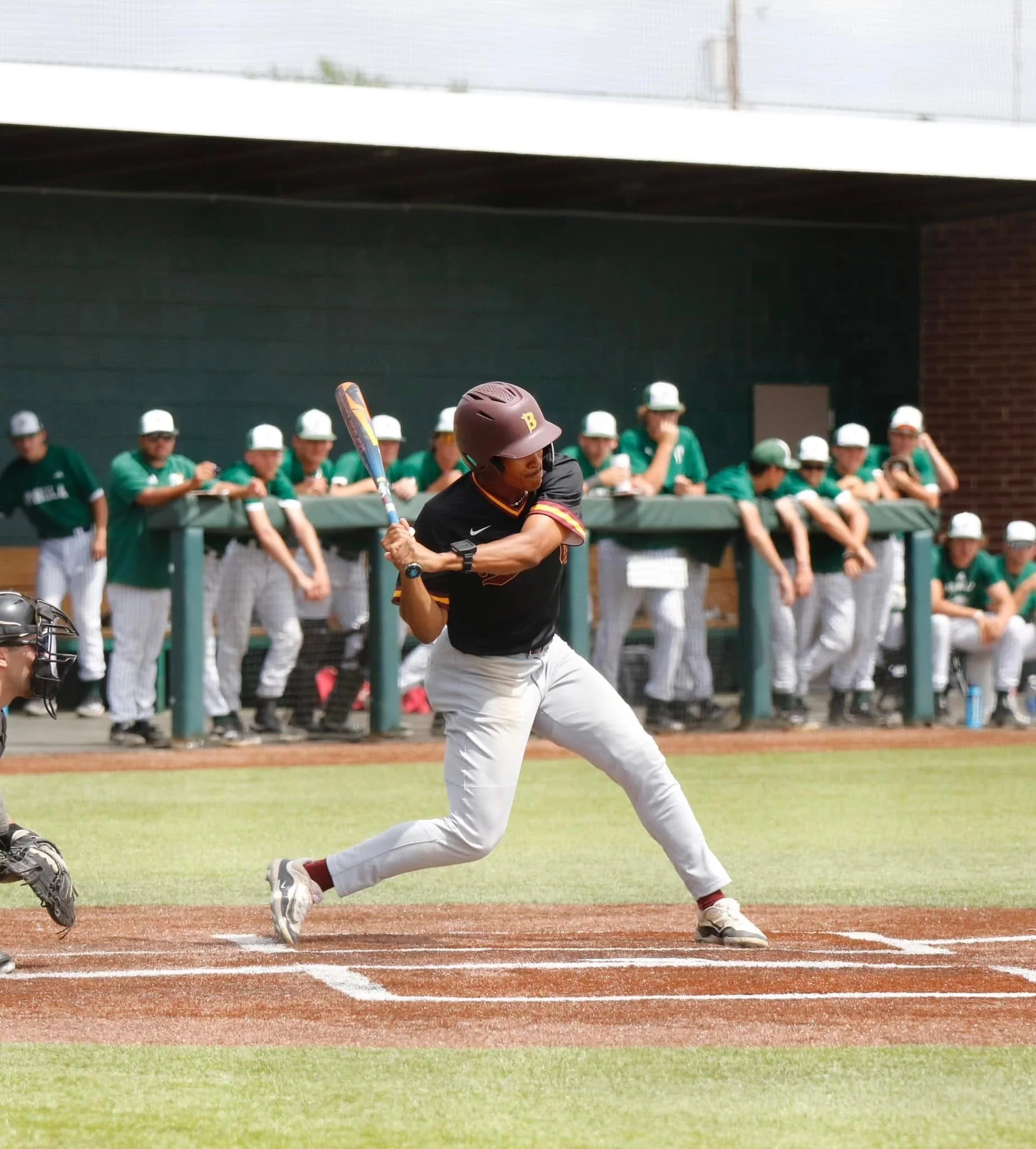 Verge: Hall excited to play with 22 Canadian Thunder Bay Border Cats