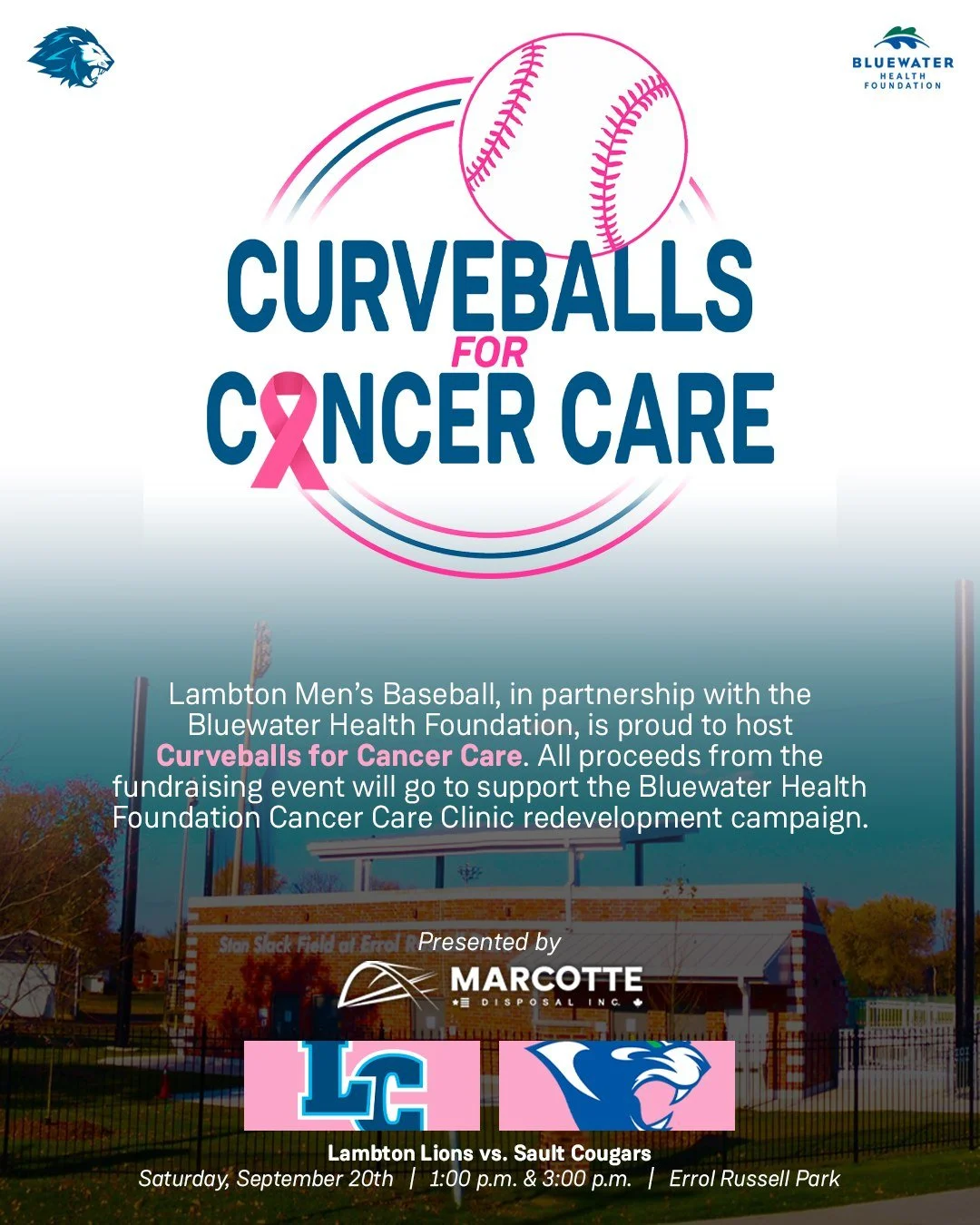 Lambton Lions men’s baseball team steps up to plate for cancer care fundraiser