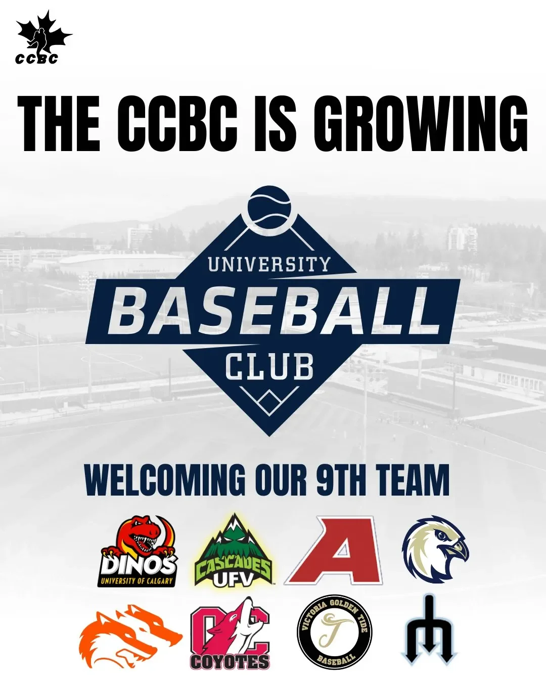 Wilson: UBC to have Canadian College Baseball Conference team in 2026