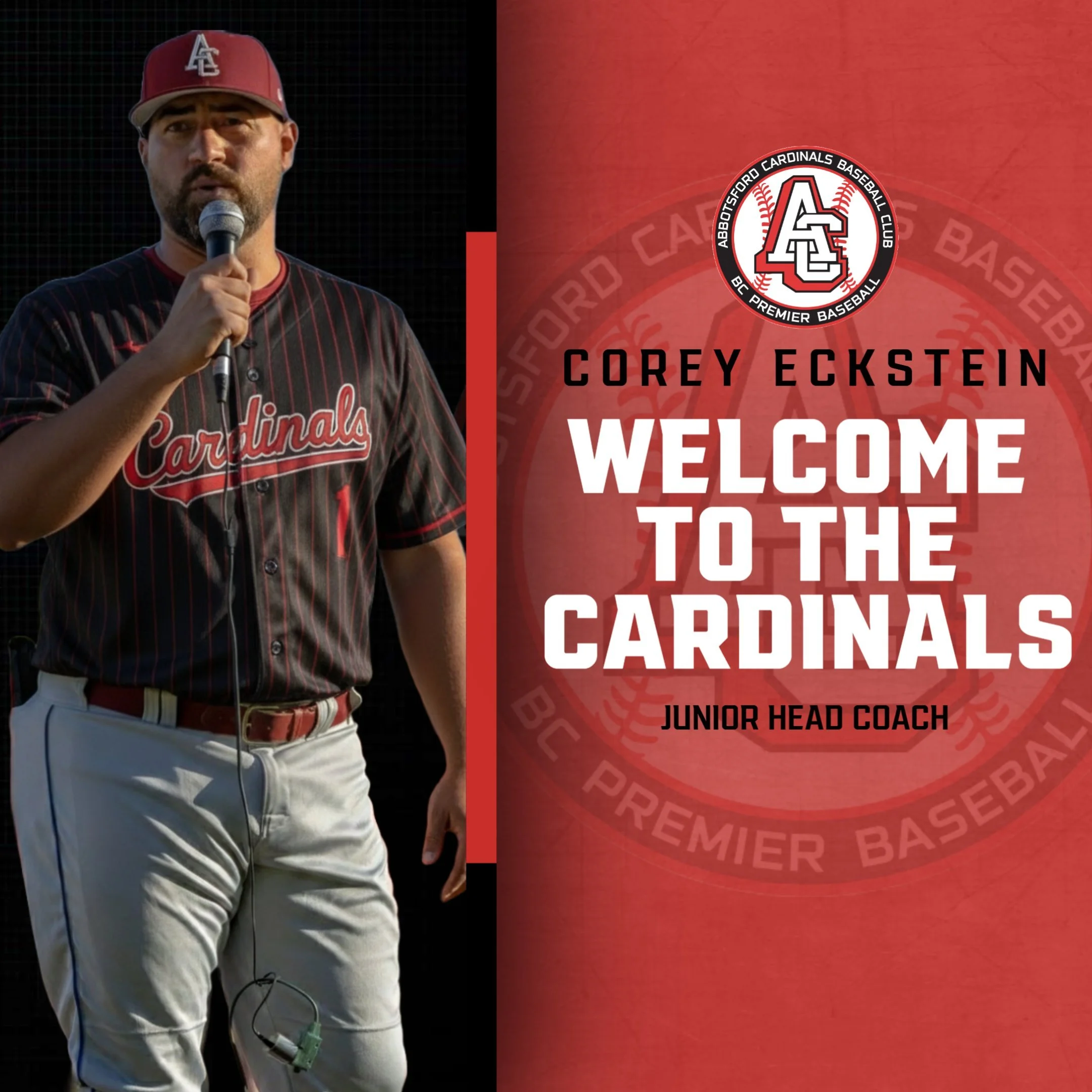 Eckstein returns to Abbotsford Cardinals