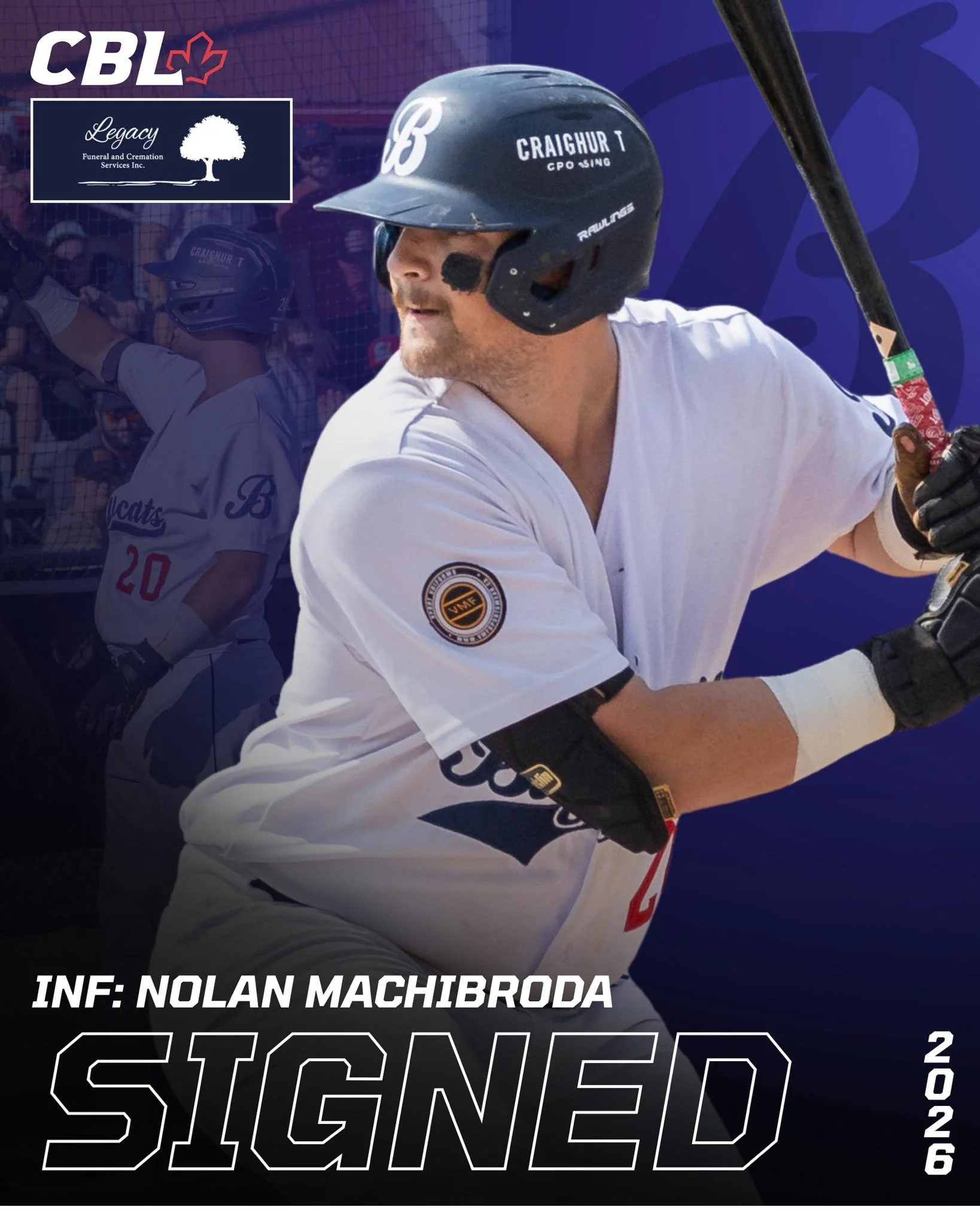 CBL's Barrie Baycats re-sign Machibroda