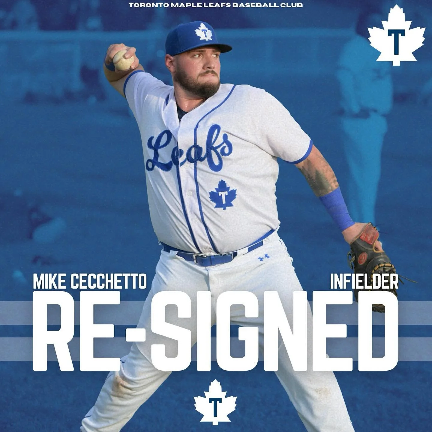 CBL's Toronto Maple Leafs re-sign Cecchetto