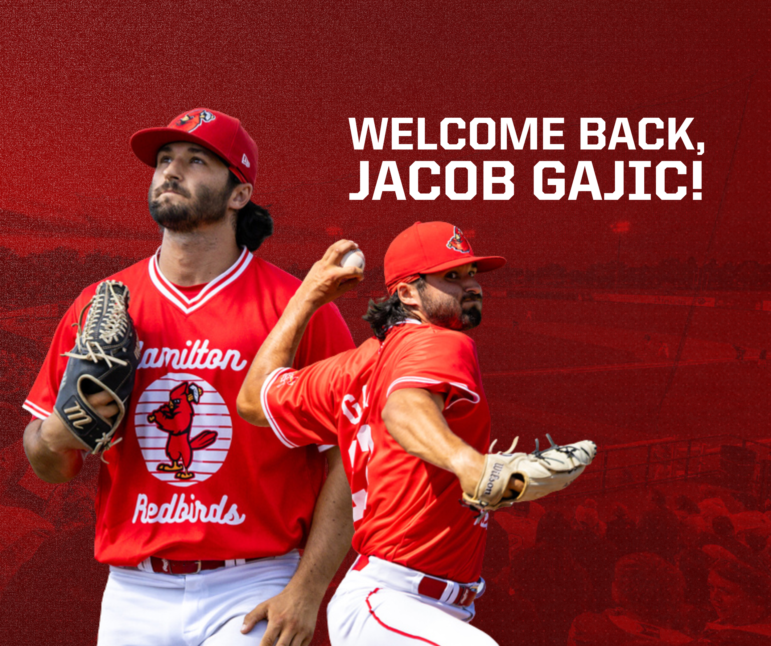 CBL's Hamilton Cardinals re-sign Gajic