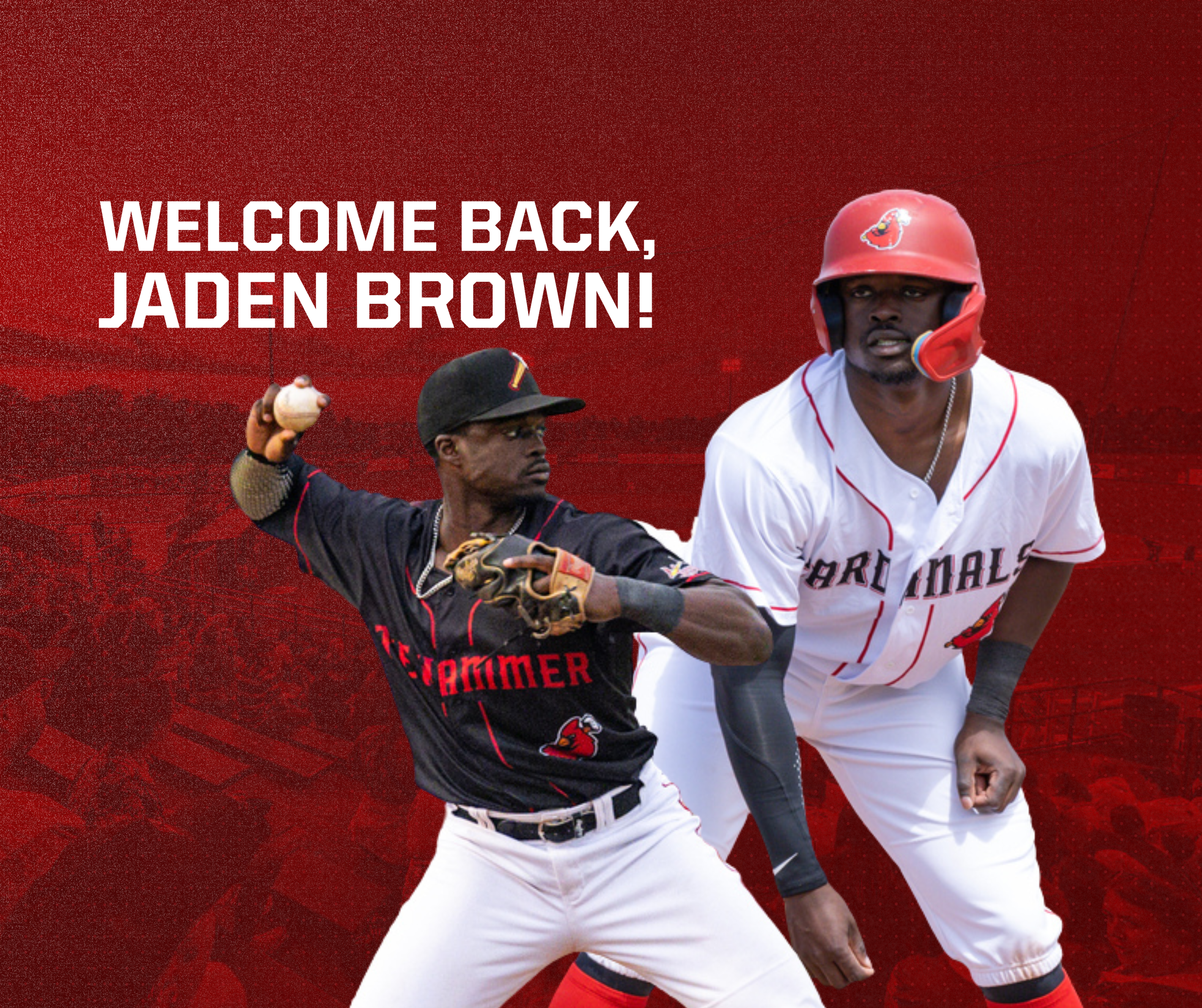 CBL's Hamilton Cardinals re-sign Brown