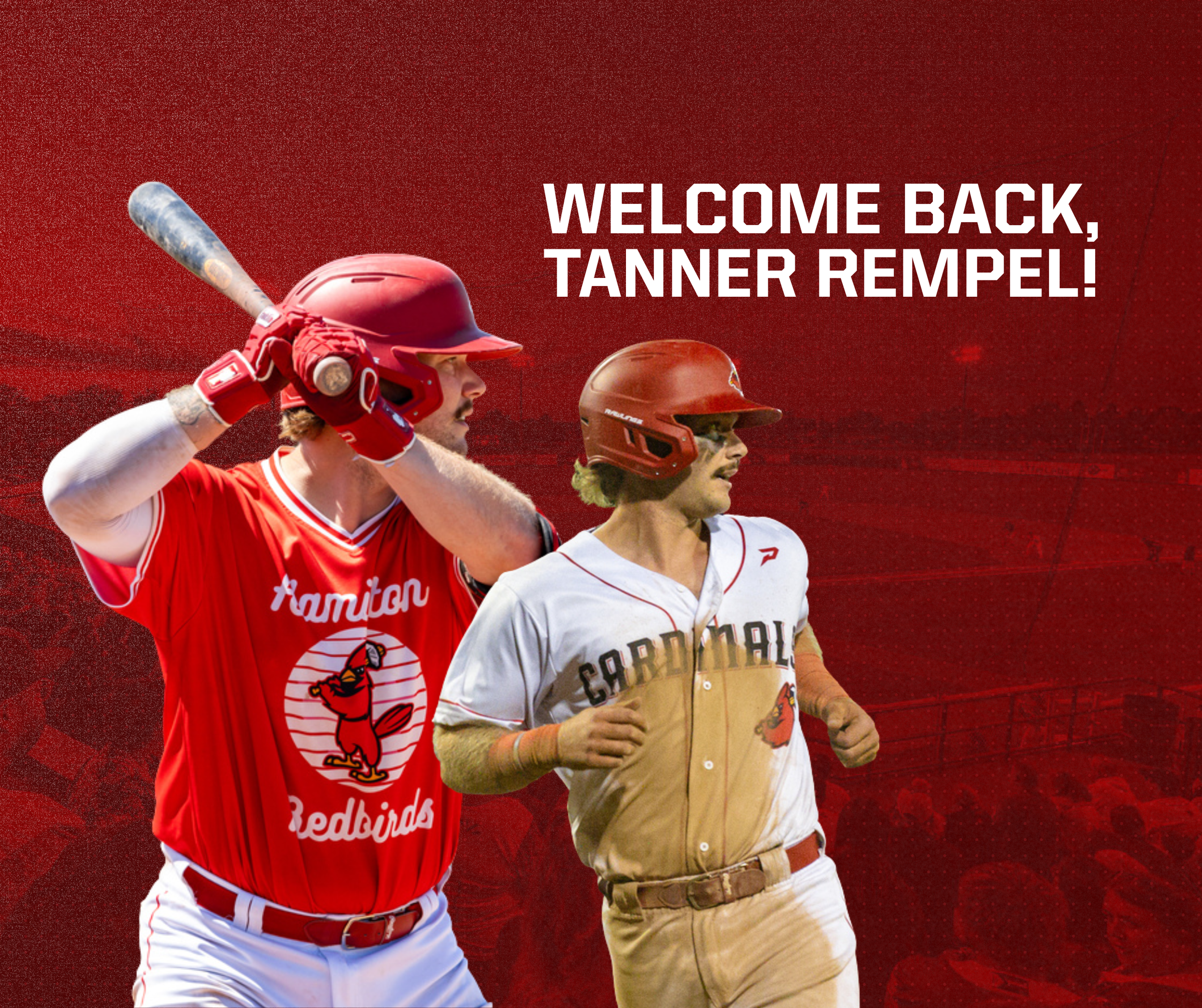 CBL's Hamilton Cardinals re-sign Rempel