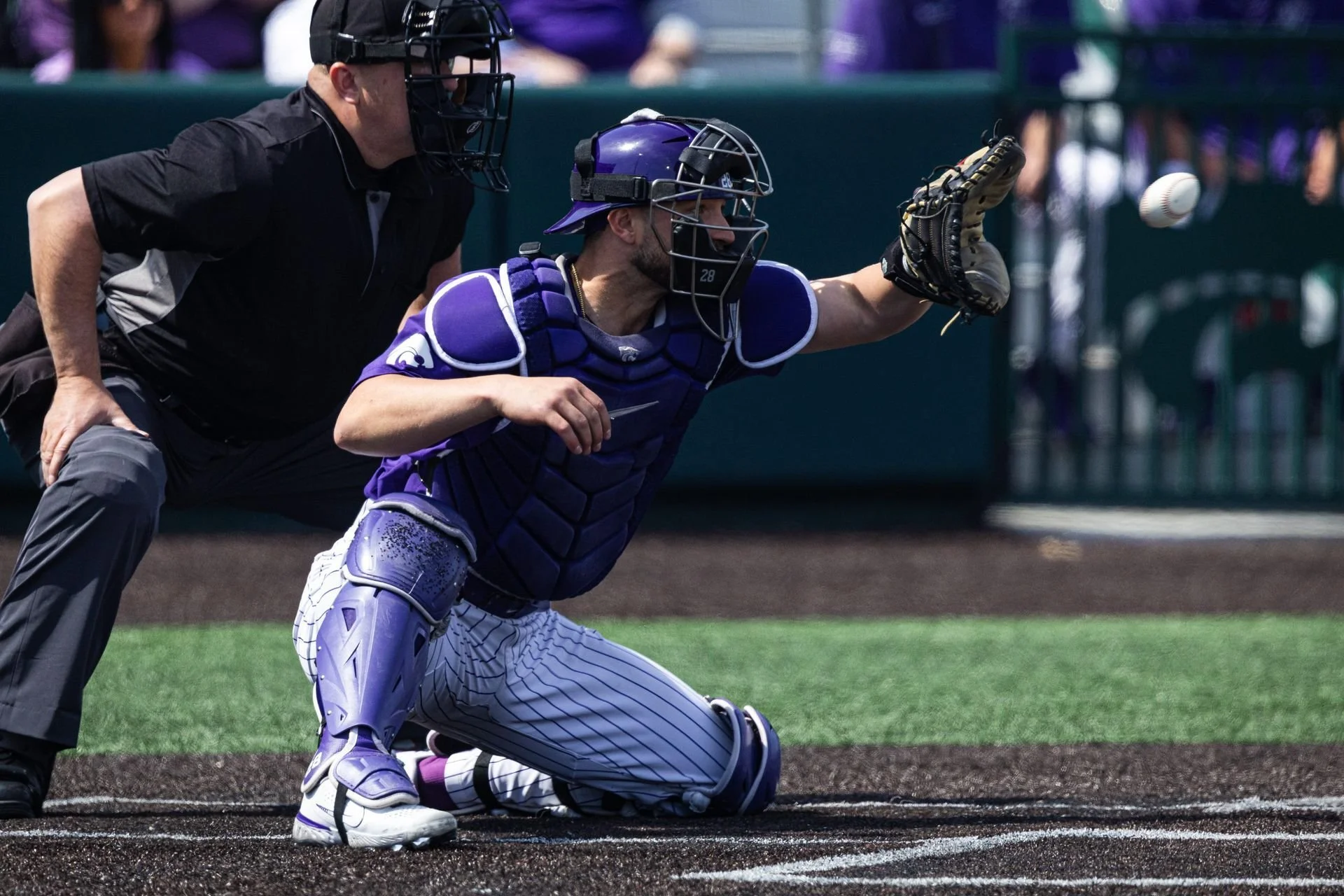 Winnipeg Goldeyes sign Pelletier