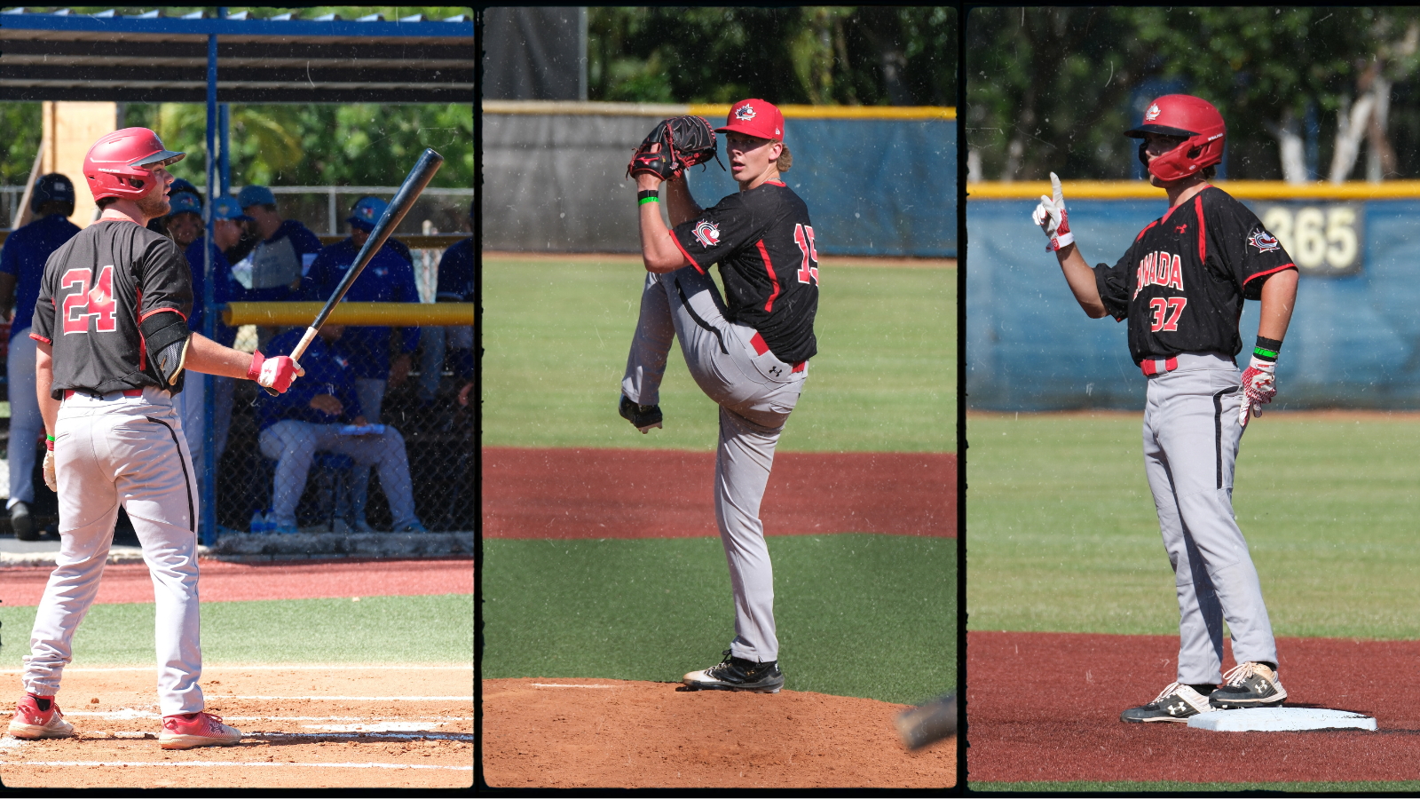 Baseball Canada: Anderson, Armitage, Omidi propel JNT to win over Jays