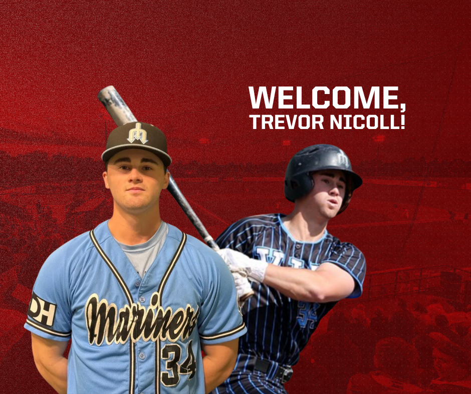 CBL's Hamilton Cardinals sign Nicoll