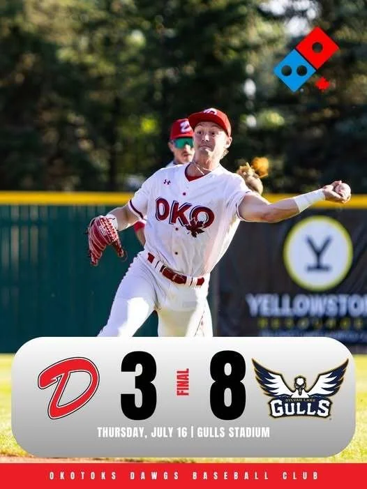 Dawgs lose 8-3 to Gulls