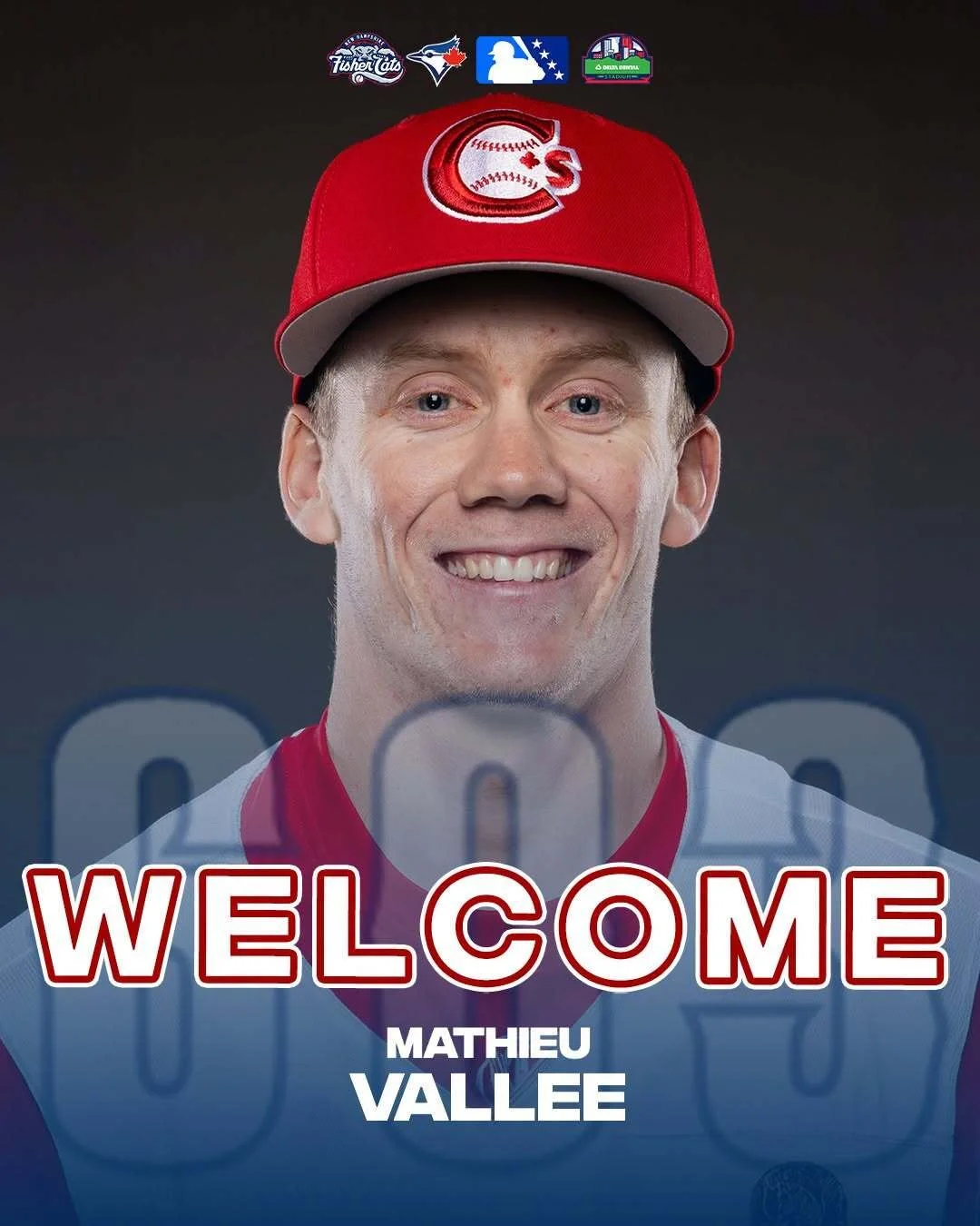 Shushkewich: Blue Jays promote Vallee to Fisher Cats