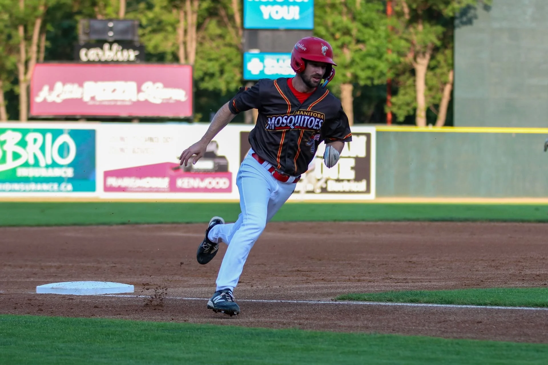 Hall, Pelletier help Goldeyes - or Mosquitoes- to win