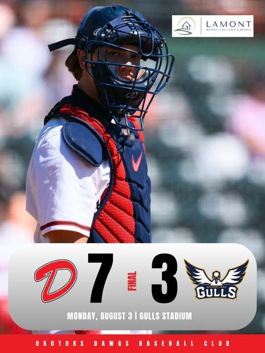 Dawgs down Gulls