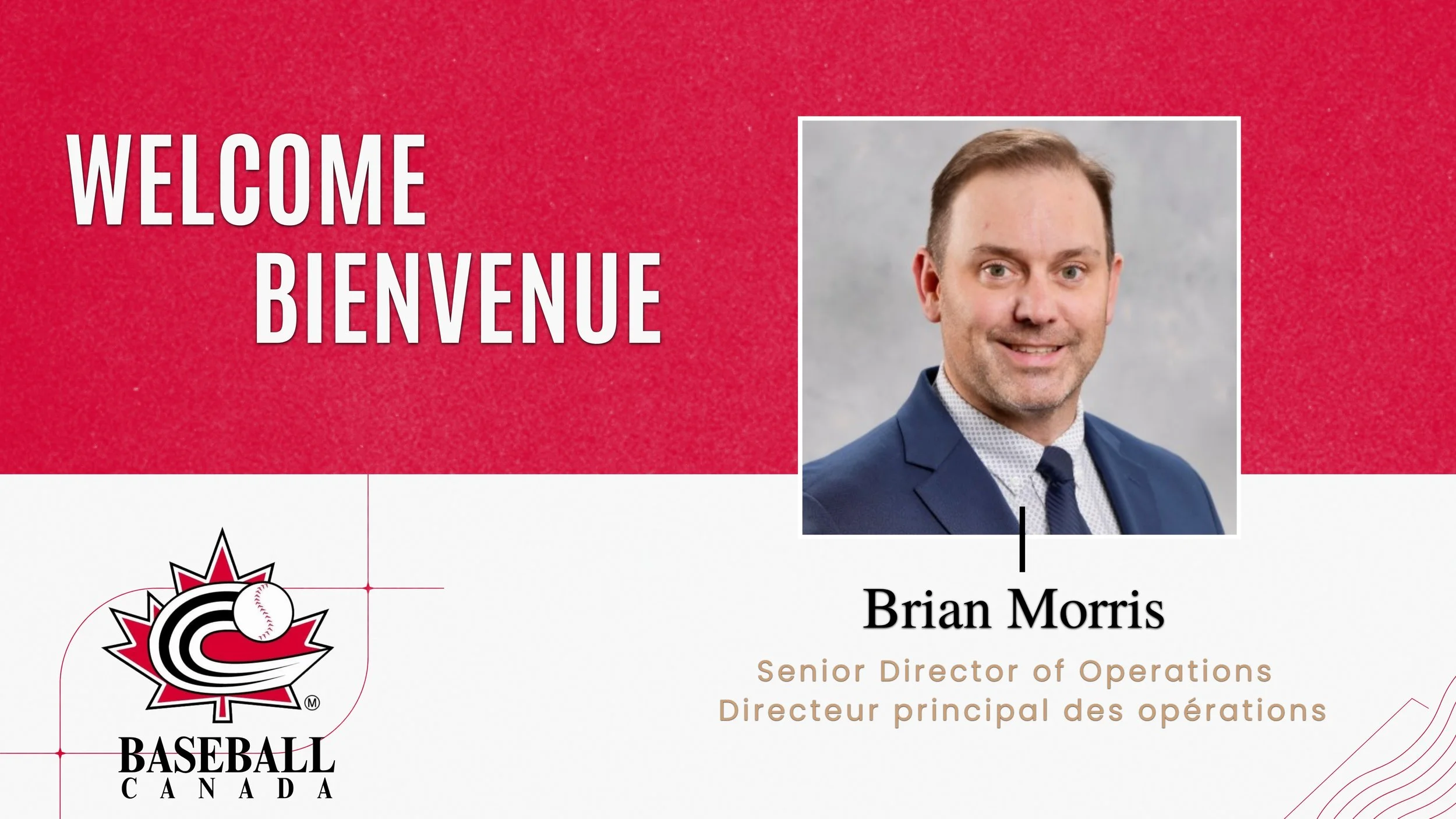 Morris hired as Baseball Canada's senior director of operations