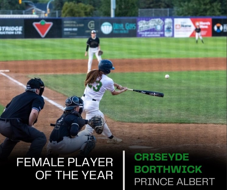 McFarland: Baseball Saskatchewan hands out annual awards