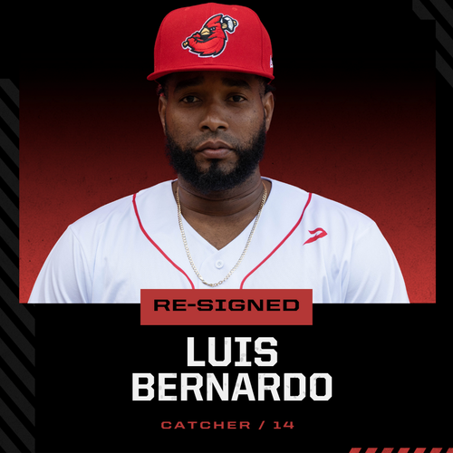 IBL's Hamilton Cardinals re-sign Bernardo — Canadian Baseball Network