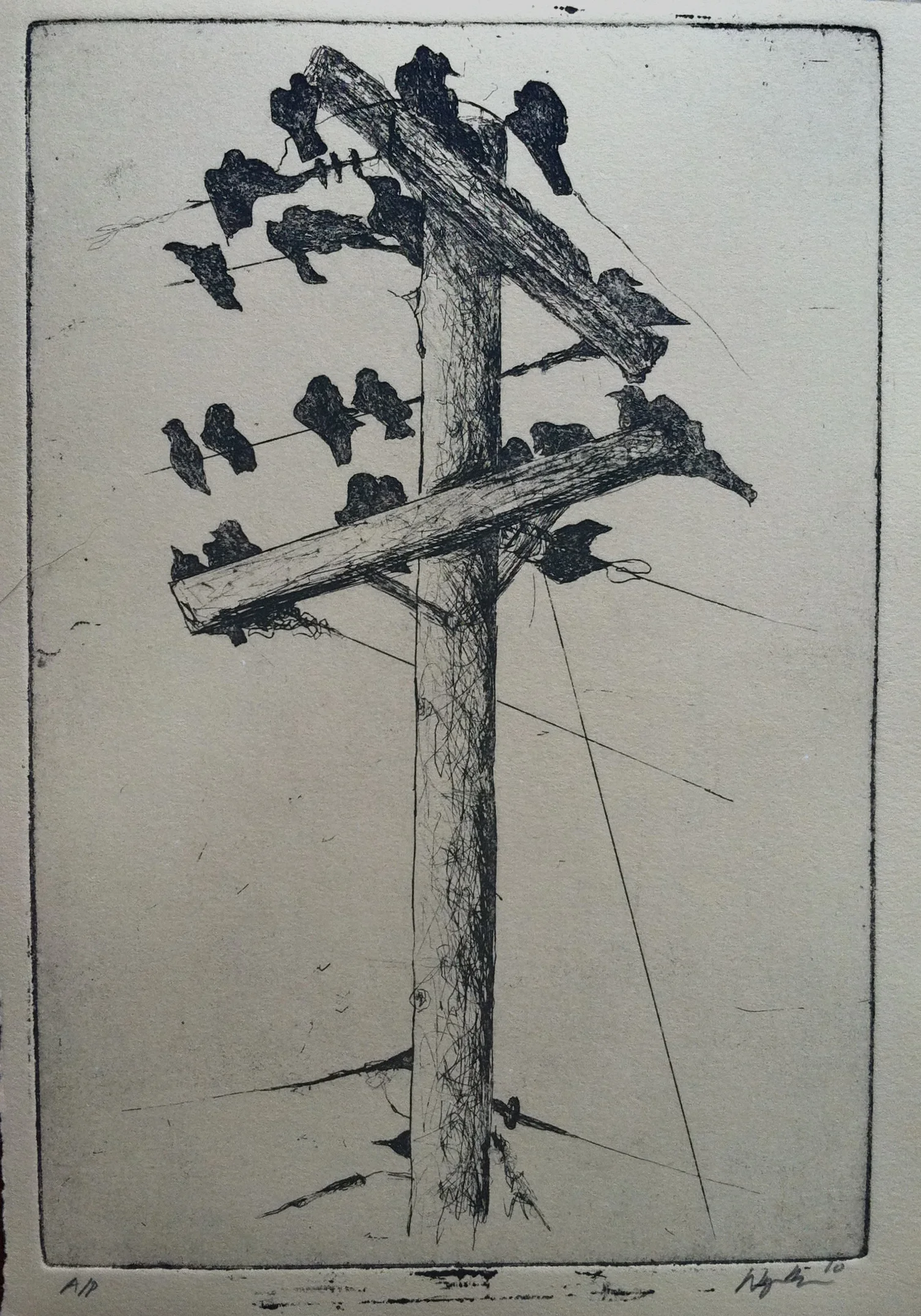 bird churchlithograph2010