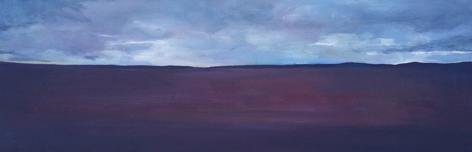 Bus Rides in Patagonia II