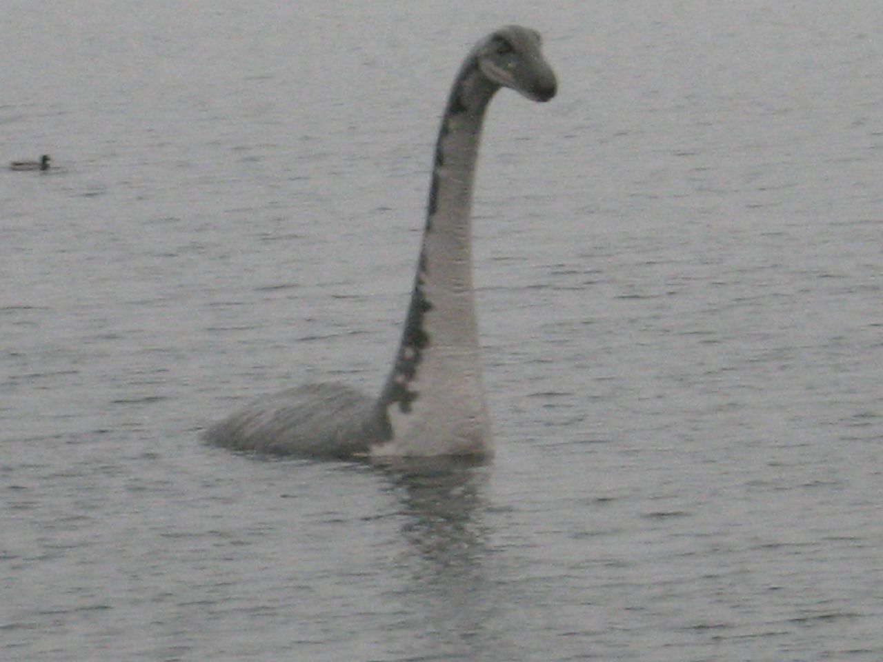 Loch Ness monster
