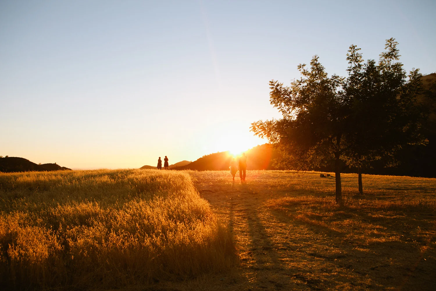 Los Olivos, California