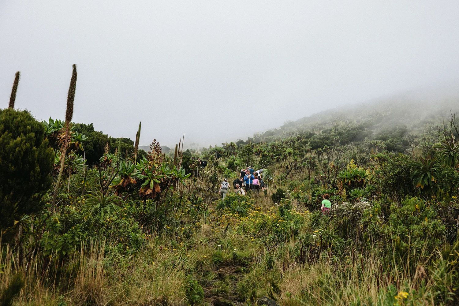 DRC_Virunga_Sasithon_0009.jpg