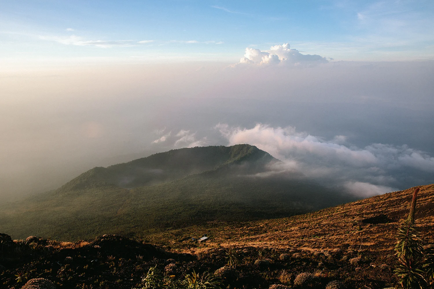 DRC_Virunga_Sasithon_0026.jpg