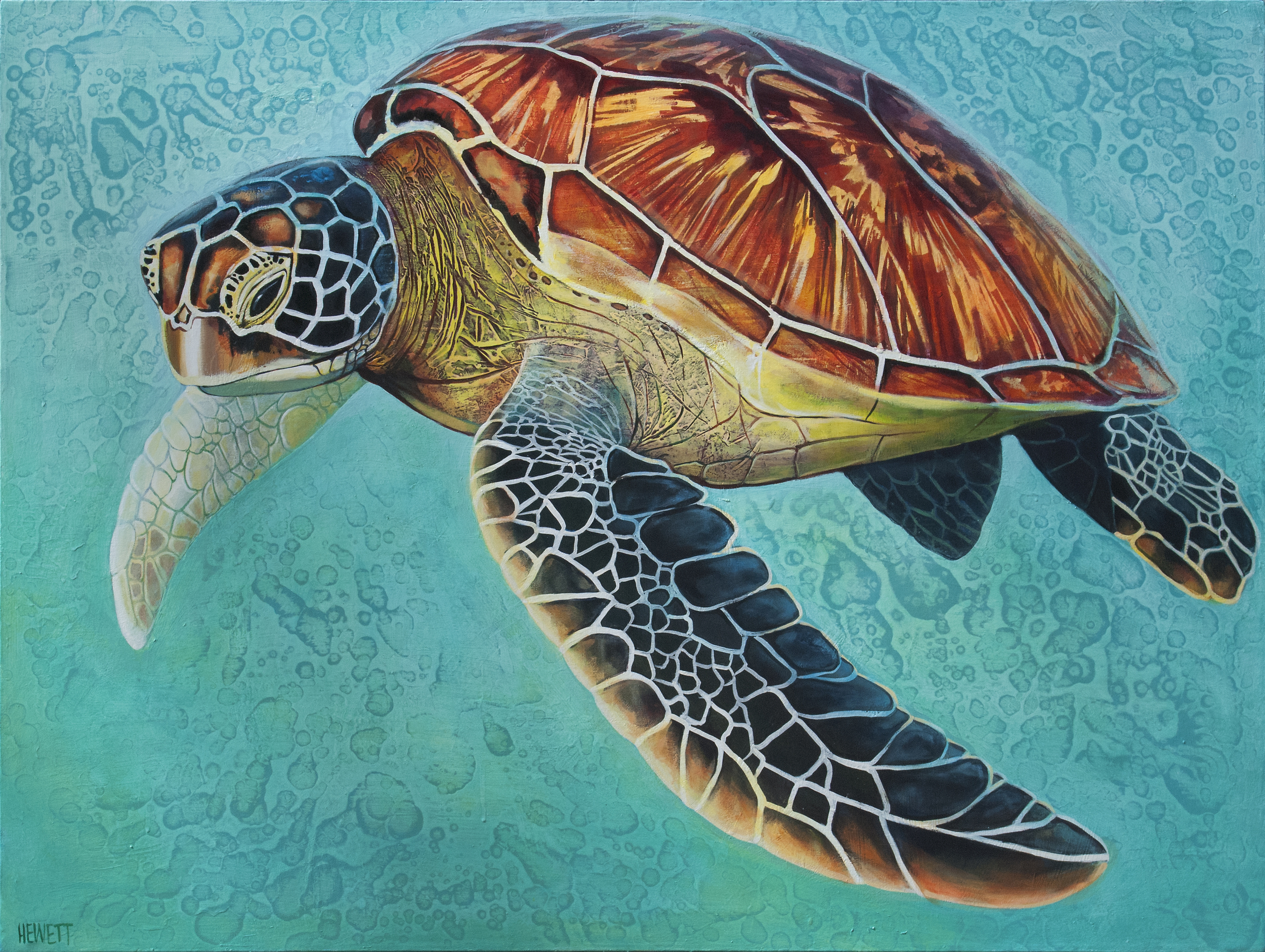 Sea Turtle